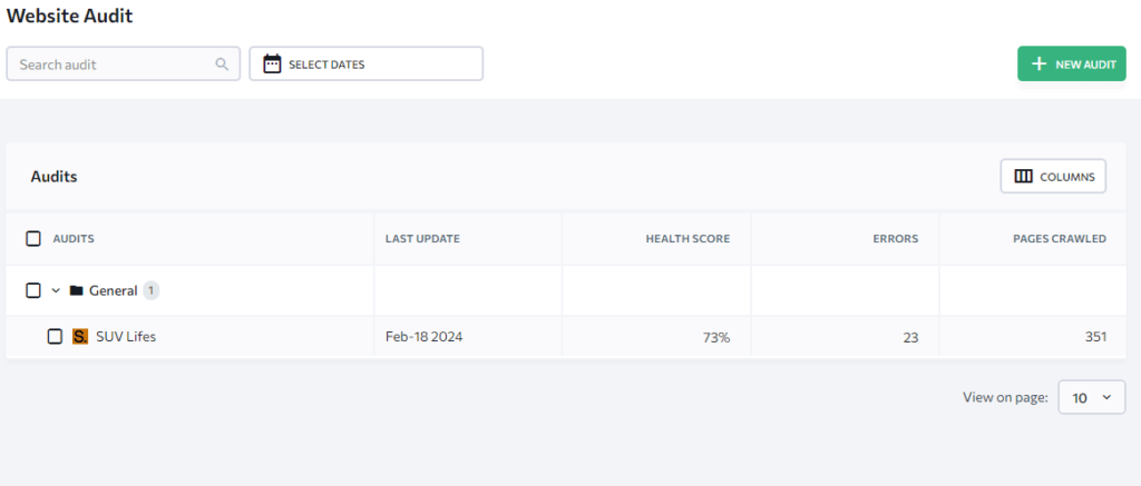website audit overview